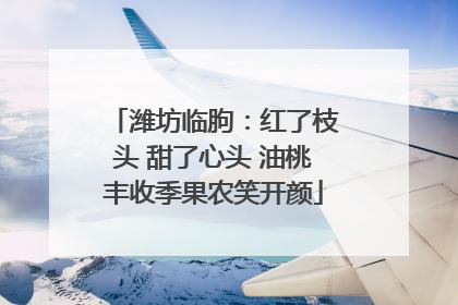 潍坊临朐：红了枝头 甜了心头 油桃丰收季果农笑开颜