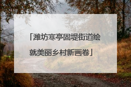 潍坊寒亭固堤街道绘就美丽乡村新画卷