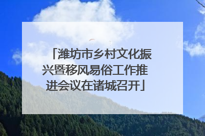 潍坊市乡村文化振兴暨移风易俗工作推进会议在诸城召开