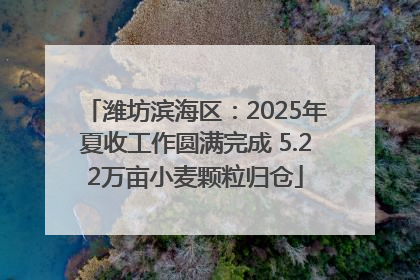 潍坊滨海区：2025年夏收工作圆满完成 5.22万亩小麦颗粒归仓