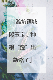 潍坊诸城殷玉宝：种粮“蹚”出新路子