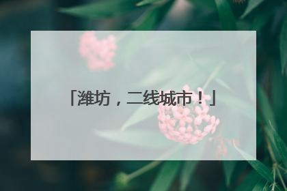 潍坊，二线城市！