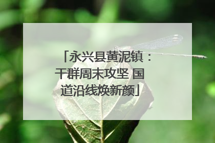 永兴县黄泥镇：干群周末攻坚 国道沿线焕新颜