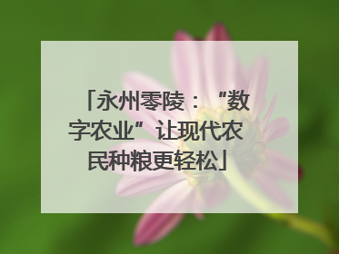 永州零陵：“数字农业”让现代农民种粮更轻松