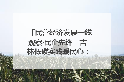 民营经济发展一线观察·民企先锋｜吉林低碳实践暖民心：太阳能供暖技术为北方清洁取暖破局
