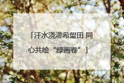 汗水浇灌希望田 同心共绘“绿画卷”