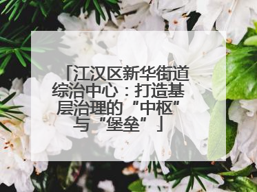 江汉区新华街道综治中心：打造基层治理的“中枢”与“堡垒”