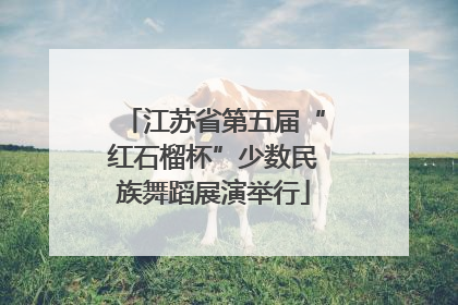 江苏省第五届“红石榴杯”少数民族舞蹈展演举行