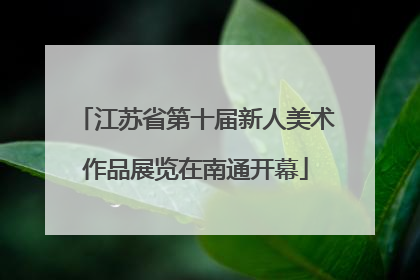 江苏省第十届新人美术作品展览在南通开幕