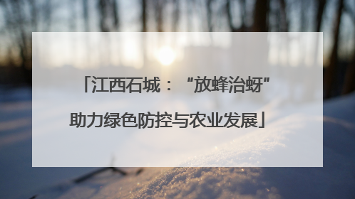 江西石城：“放蜂治蚜”助力绿色防控与农业发展