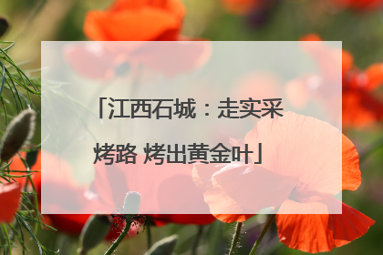 江西石城：走实采烤路 烤出黄金叶