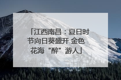江西南昌：夏日时节向日葵盛开 金色花海“醉”游人