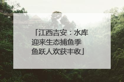 江西吉安：水库迎来生态捕鱼季 鱼跃人欢获丰收