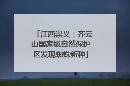 江西崇义：齐云山国家级自然保护区发现蜘蛛新种