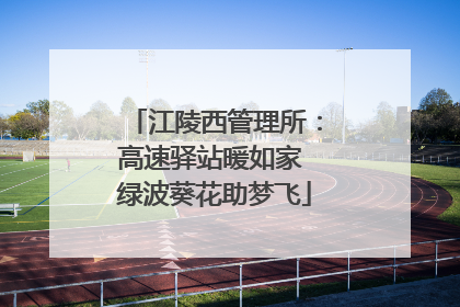 江陵西管理所：高速驿站暖如家 绿波葵花助梦飞