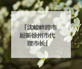 沈峻峰跨市履新徐州市代理市长