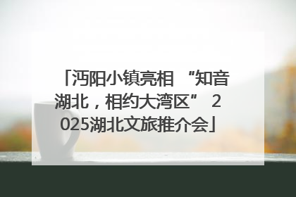 沔阳小镇亮相 “知音湖北，相约大湾区” 2025湖北文旅推介会