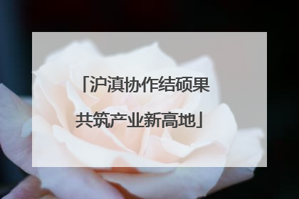 沪滇协作结硕果 共筑产业新高地