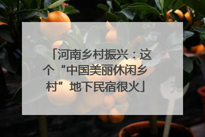 河南乡村振兴：这个“中国美丽休闲乡村”地下民宿很火