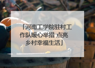河南工学院驻村工作队暖心举措 点亮乡村幸福生活