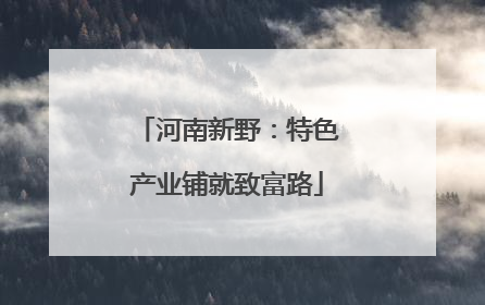 河南新野：特色产业铺就致富路