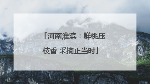 河南淮滨：鲜桃压枝香 采摘正当时