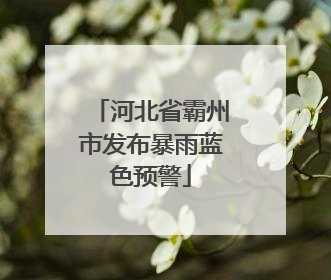 河北省霸州市发布暴雨蓝色预警