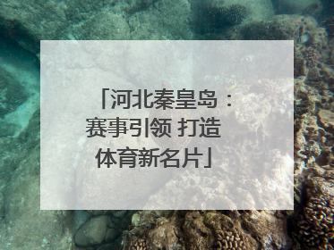 河北秦皇岛：赛事引领 打造体育新名片