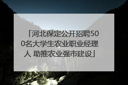 河北保定公开招聘500名大学生农业职业经理人 助推农业强市建设
