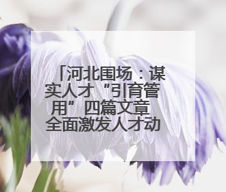 河北围场：谋实人才“引育管用”四篇文章 全面激发人才动力引擎