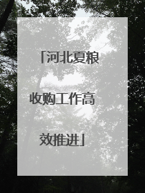 河北夏粮收购工作高效推进