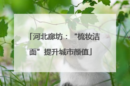 河北廊坊：“梳妆洁面”提升城市颜值