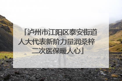 泸州市江阳区泰安街道人大代表新阶力量润桑梓 二次医保暖人心