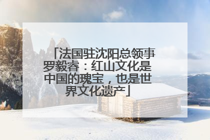 法国驻沈阳总领事罗毅睿：红山文化是中国的瑰宝，也是世界文化遗产