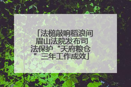 法槌敲响稻浪间 眉山法院发布司法保护“天府粮仓”三年工作成效