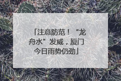 注意防范！“龙舟水”发威，厦门今日雨势仍劲