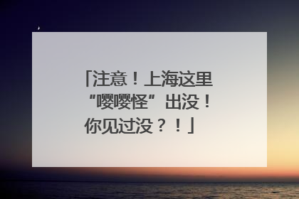 注意！上海这里“嘤嘤怪”出没！你见过没？！