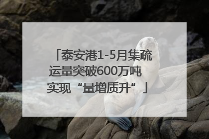 泰安港1-5月集疏运量突破600万吨 实现“量增质升”