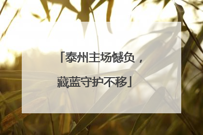泰州主场憾负，藏蓝守护不移