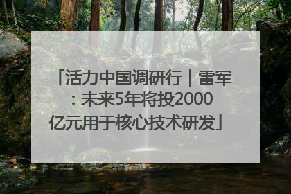 活力中国调研行｜雷军：未来5年将投2000亿元用于核心技术研发