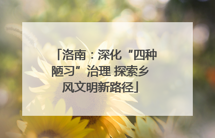 洛南：深化“四种陋习”治理 探索乡风文明新路径