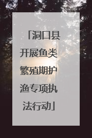 洞口县开展鱼类繁殖期护渔专项执法行动