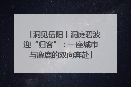 洞见岳阳丨洞庭碧波迎“归客”：一座城市与麋鹿的双向奔赴