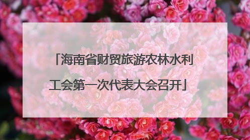 海南省财贸旅游农林水利工会第一次代表大会召开