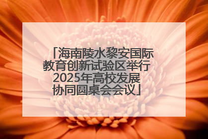 海南陵水黎安国际教育创新试验区举行2025年高校发展协同圆桌会会议