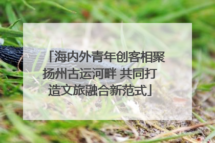 海内外青年创客相聚扬州古运河畔 共同打造文旅融合新范式