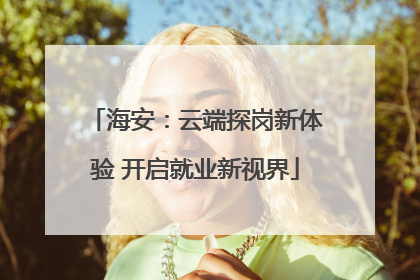 海安：云端探岗新体验 开启就业新视界