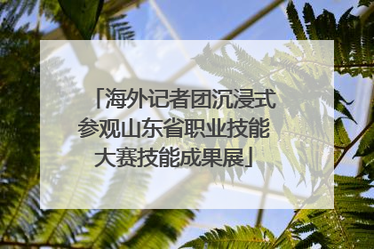 海外记者团沉浸式参观山东省职业技能大赛技能成果展