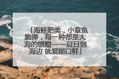 海蛏肥美，小章鱼脆弹，每一种都是大海的馈赠——夏日到海边 就爱那口鲜