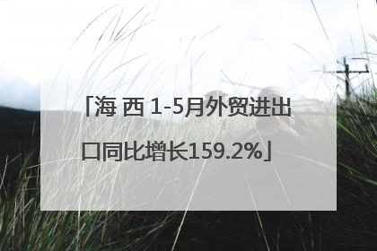 海 西 1-5月外贸进出口同比增长159.2%